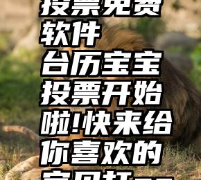 微信网上投票免费软件   台历宝宝投票开始啦!快来给你喜欢的宝贝打call吧!