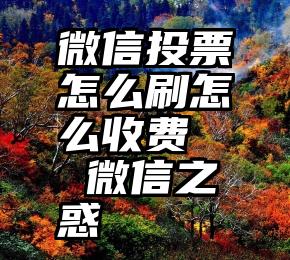 微信投票怎么刷怎么收费   微信之惑