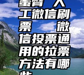 蜜臀 人工微信刷票   微信投票通用的拉票方法有哪些