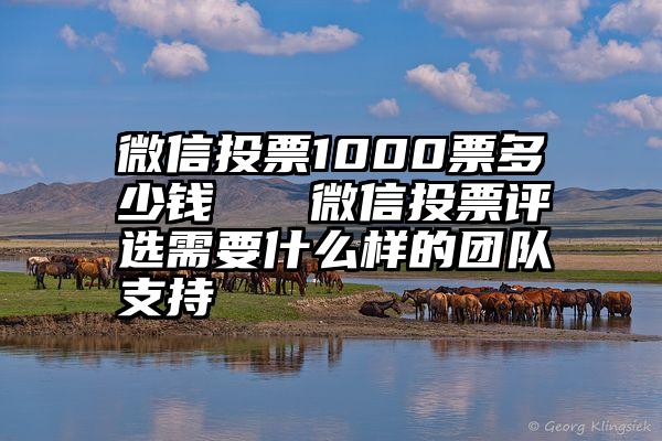 微信投票1000票多少钱   微信投票评选需要什么样的团队支持