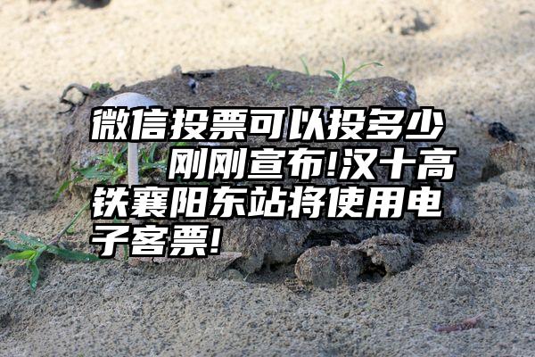 微信投票可以投多少   刚刚宣布!汉十高铁襄阳东站将使用电子客票!