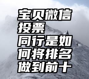 宝贝微信投票   同行是如何将排名做到前十