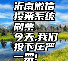 沂南微信投票系统刷票   今天,我们投下庄严一票!