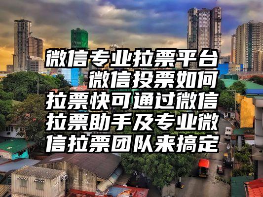 微信专业拉票平台   微信投票如何拉票快可通过微信拉票助手及专业微信拉票团队来搞定