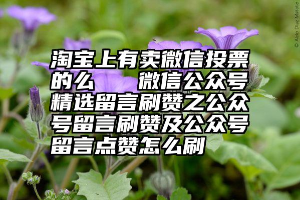 淘宝上有卖微信投票的么   微信公众号精选留言刷赞之公众号留言刷赞及公众号留言点赞怎么刷