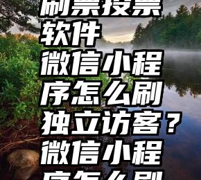 免费微信刷票投票软件   微信小程序怎么刷独立访客？微信小程序怎么刷独立访客？