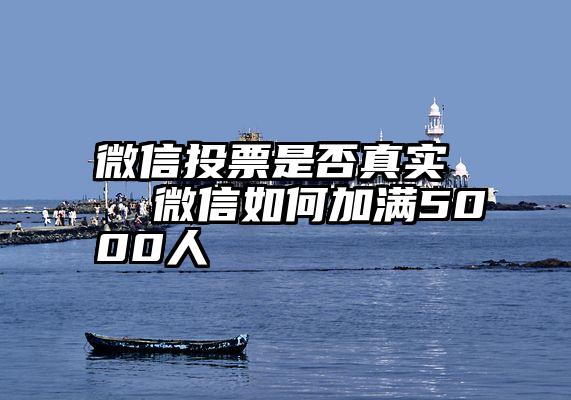 微信投票是否真实   微信如何加满5000人