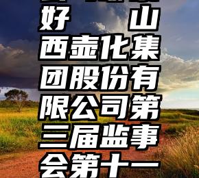 微信投票公司哪家好   山西壶化集团股份有限公司第三届监事会第十一次会议决议公告