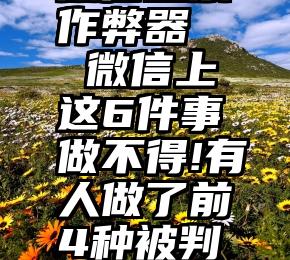 微信投票作弊器   微信上这6件事做不得!有人做了前4种被判刑或拘留!