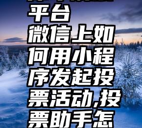 犀牛刷票平台   微信上如何用小程序发起投票活动,投票助手怎么用