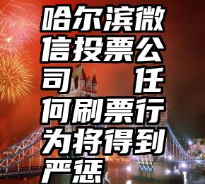 哈尔滨微信投票公司   任何刷票行为将得到严惩