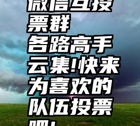 微信互投票群   各路高手云集!快来为喜欢的队伍投票吧!