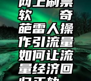 网上刷票软   奇葩雷人操作引流量如何让流量经济回归正轨