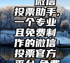 景德微信投票公司   微信投票助手,一个专业且免费制作的微信投票官方平台,免费教程,现成小程序