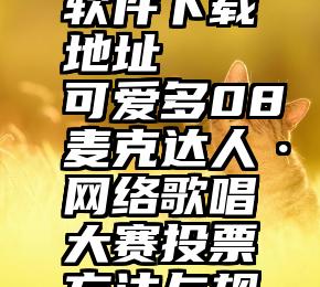 微信投票软件下载地址   可爱多08麦克达人·网络歌唱大赛投票方法与规则