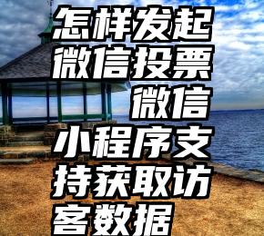 怎样发起微信投票   微信小程序支持获取访客数据