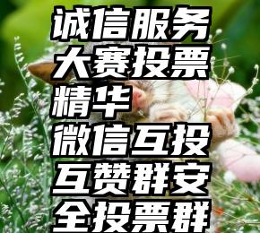 诚信服务大赛投票精华   微信互投互赞群安全投票群