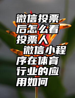 微信投票后怎么看投票人   微信小程序在体育行业的应用如何