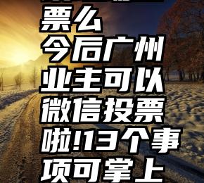 微信墙可以现场投票么   今后广州业主可以微信投票啦!13个事项可掌上“一键”表决