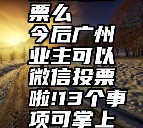 微信墙可以现场投票么   今后广州业主可以微信投票啦!13个事项可掌上“一键”表决