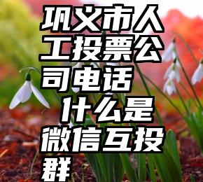 巩义市人工投票公司电话   什么是微信互投群