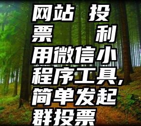 网站 投票   利用微信小程序工具,简单发起群投票