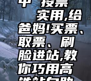 微信群聊中 投票   实用,给爸妈!买票、取票、刷脸进站,教你巧用高铁站自助设备