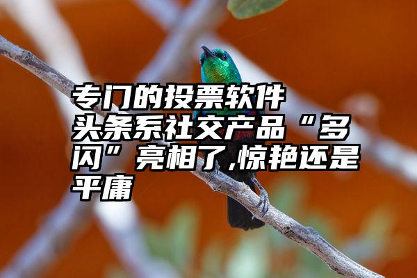 专门的投票软件   头条系社交产品“多闪”亮相了,惊艳还是平庸