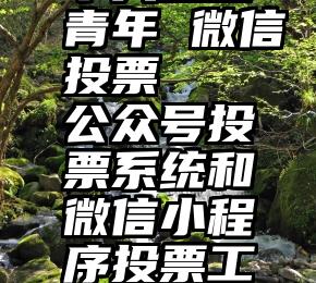 十大杰出青年 微信投票   公众号投票系统和微信小程序投票工具的区别