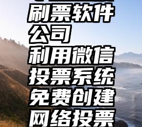 专业投票刷票软件公司   利用微信投票系统免费创建网络投票评选活动