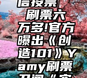 同学群微信投票   刷票六万多!官方曝出《创造101》Yamy刷票丑闻“实锤”!