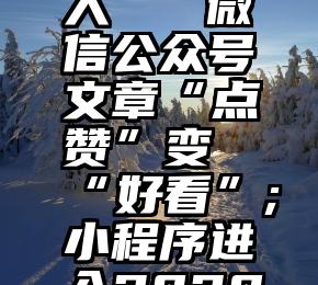 微信公众号投票每人 微信公众号文章“点赞”变“好看”;小程序进入2020腾讯“名品堂”...