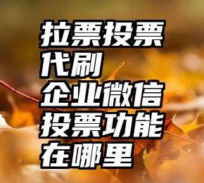 拉票投票代刷   企业微信投票功能在哪里