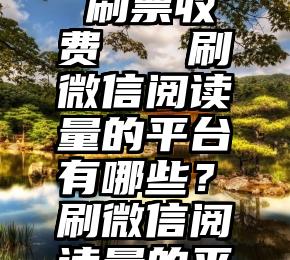 微信投票 刷票收费   刷微信阅读量的平台有哪些？刷微信阅读量的平台有哪些？