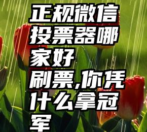 正规微信投票器哪家好   刷票,你凭什么拿冠军