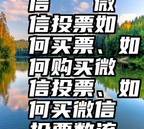 代刷票微信   微信投票如何买票、如何购买微信投票、如何买微信投票数流程