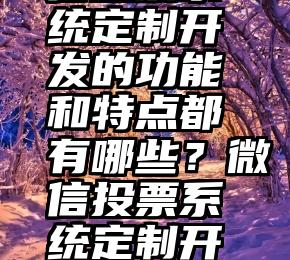 微信t票平台   微信投票系统定制开发的功能和特点都有哪些？微信投票系统定制开发的功能和特点都有哪些？