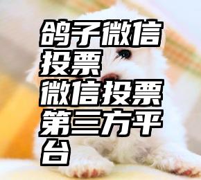 鸽子微信投票   微信投票第三方平台