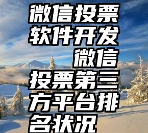 微信投票软件开发   微信投票第三方平台排名状况