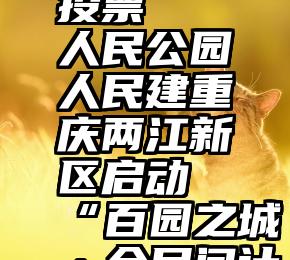 微信无法投票   人民公园人民建重庆两江新区启动“百园之城·全民问计”活动