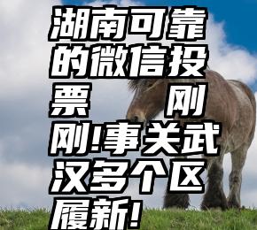 湖南可靠的微信投票   刚刚!事关武汉多个区履新!