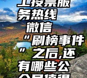 淮南市人工投票服务热线   微信“刷榜事件”之后,还有哪些公众号值得你关注