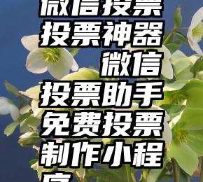 微信投票投票神器   微信投票助手免费投票制作小程序