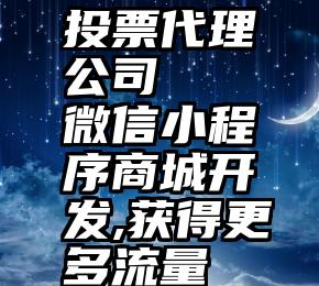 投票代理公司   微信小程序商城开发,获得更多流量