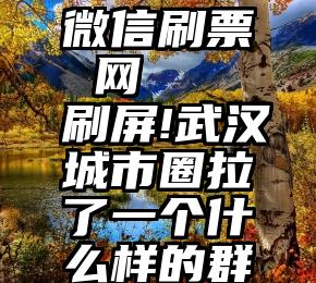 微信刷票 网   刷屏!武汉城市圈拉了一个什么样的群