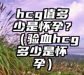 hcg值多少是怀孕？（验血hcg多少是怀孕）