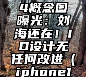 iPhone14概念图曝光：刘海还在！ID设计无任何改进（iphone14概念图）