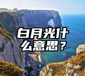 白月光什么意思？