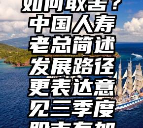 个险个险如何取舍?中国人寿老总简述发展路径更表达意见三季度股市有加配机会