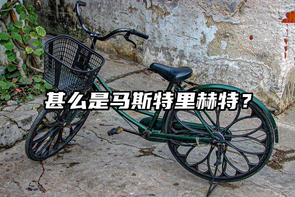 甚么是马斯特里赫特？